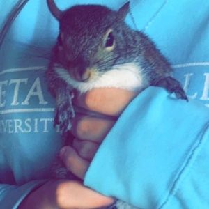 Meet your Posher, Hailey